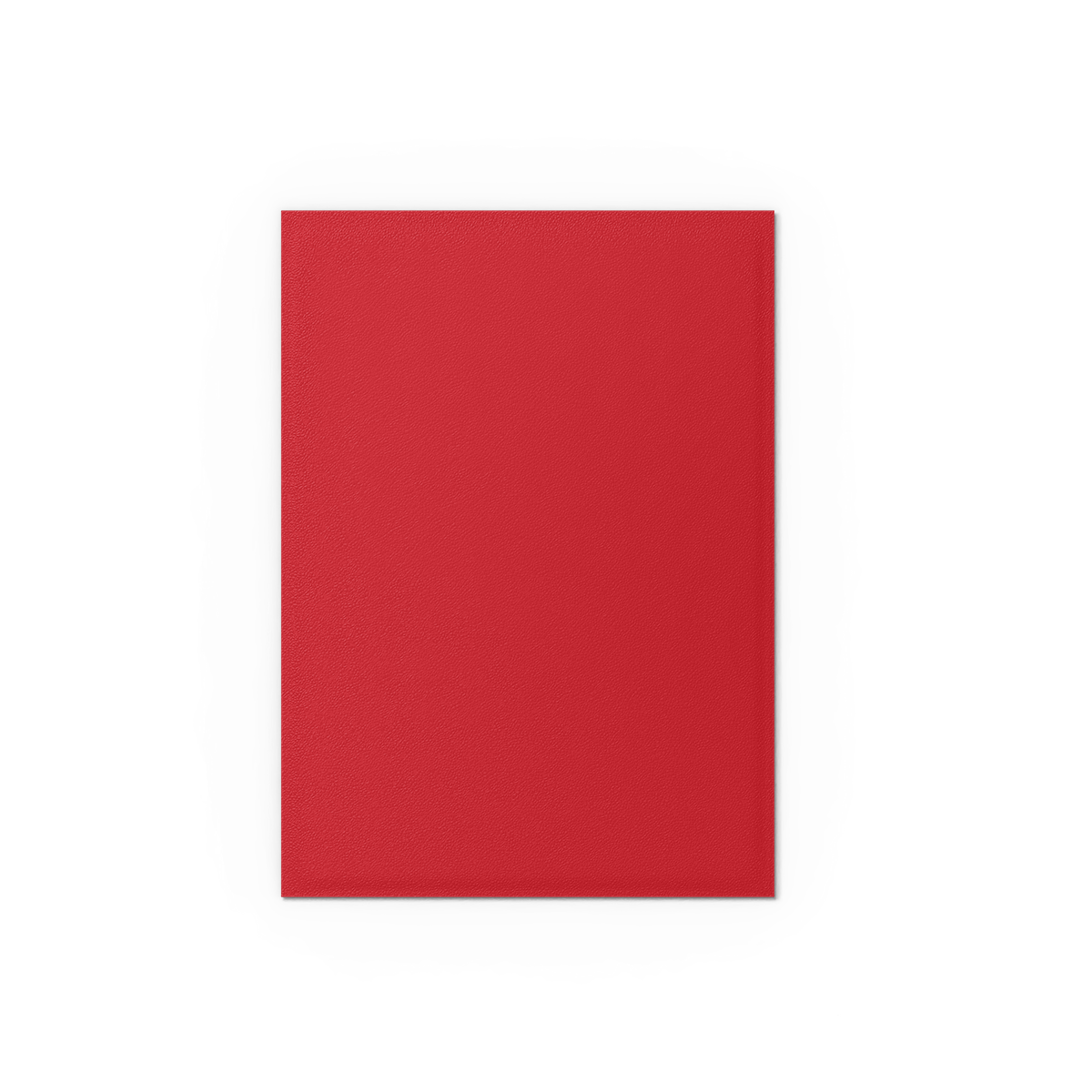 Dragon Shield - Matte Dual Sleeves Crimson & Silver (100 Bustine)