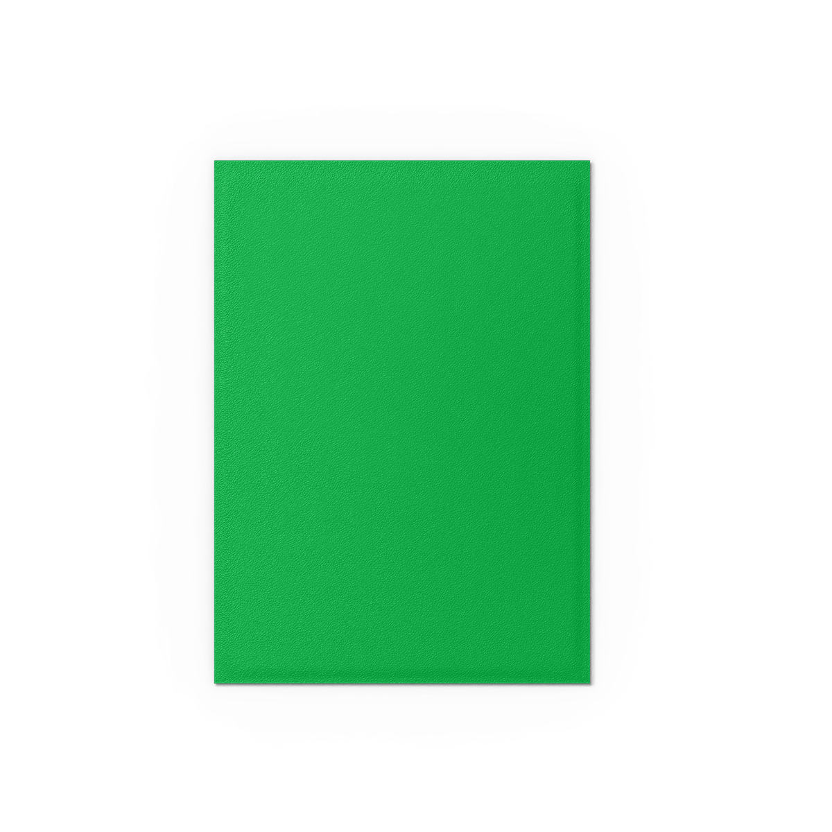 Dragon Shield - Matte Dual Sleeves Apple Green & Silver (100 Bustine)