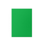 Dragon Shield - Matte Dual Sleeves Apple Green & Silver (100 Bustine)