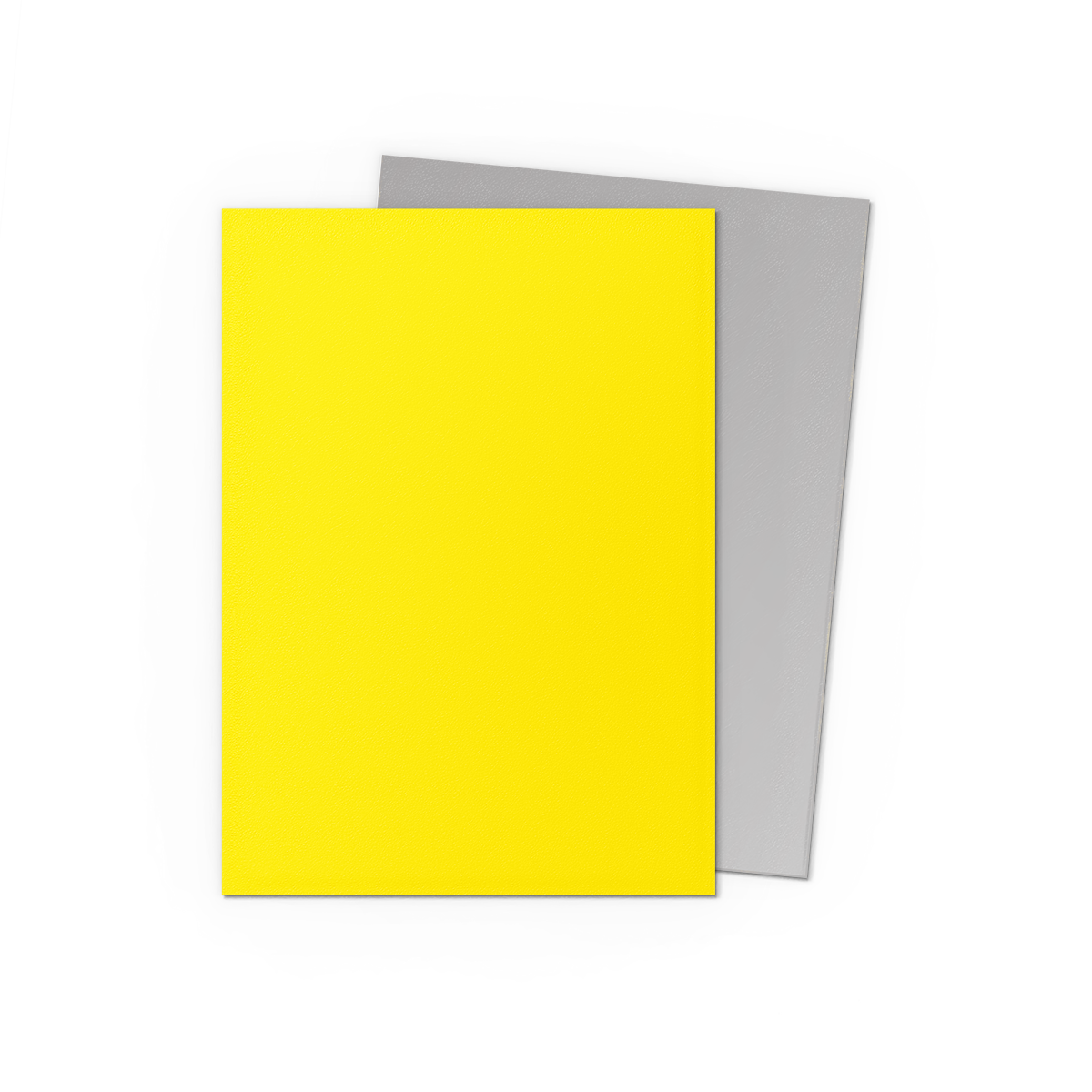 Dragon Shield - Matte Dual Sleeves Yellow & Silver (100 Bustine)