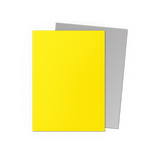Dragon Shield - Matte Dual Sleeves Yellow & Silver (100 Bustine)