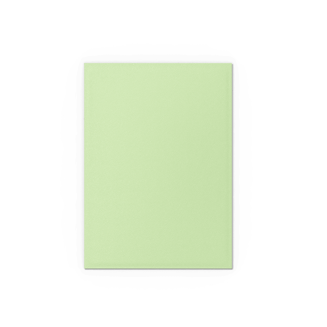 Dragon Shield - Matte Dual Sleeves Gooseberry - Standard Size (100 Bustine)